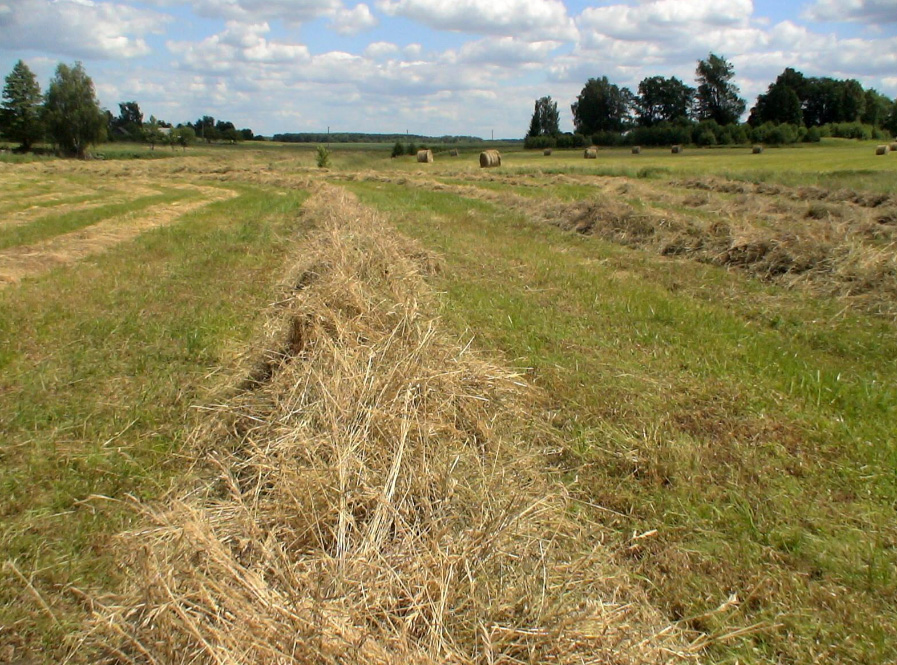 Грабли-ворошилки роторные ГВР-3