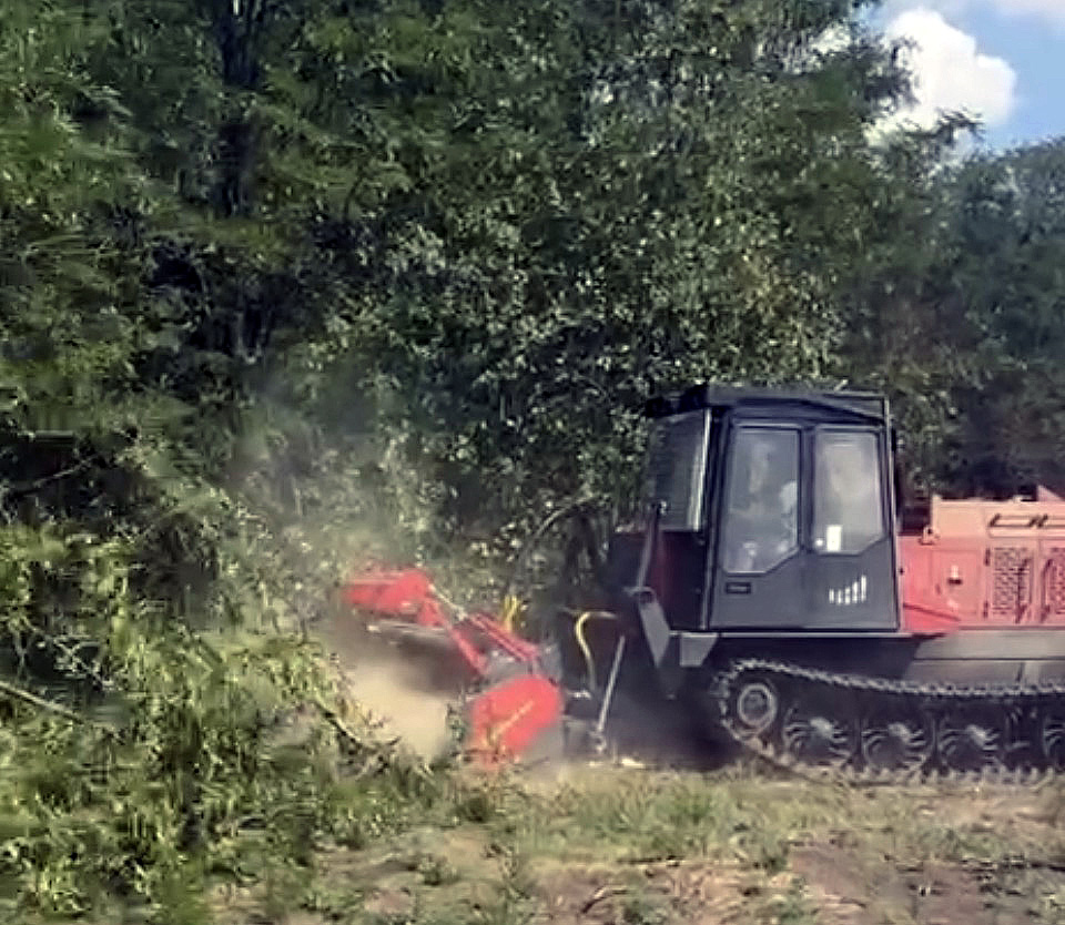 Мульчер модели ТЛП-4М-038А с рабочим органом Seppi-M MIDIFORST dt 225 Hyd