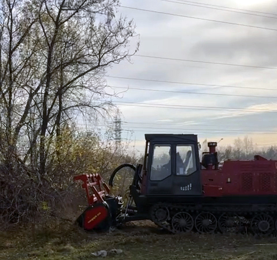 Мульчер модели ТЛП-4М-038А с рабочим органом Seppi-M MIDIFORST dt 225 Hyd