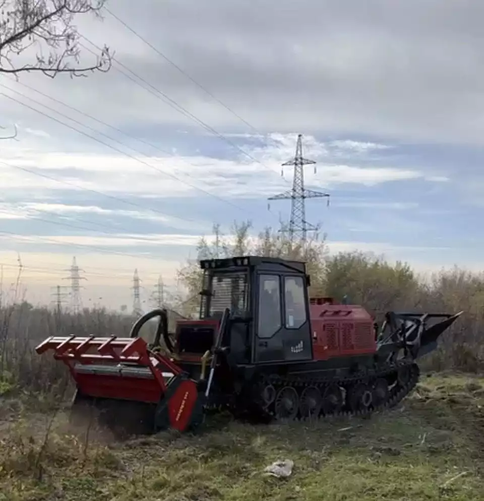 Мульчер модели ТЛП-4М-038А с рабочим органом Seppi-M MIDIFORST dt 225 Hyd