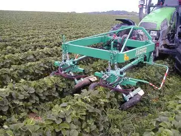 Обрезчик побегов клубники Heuling (Германия)