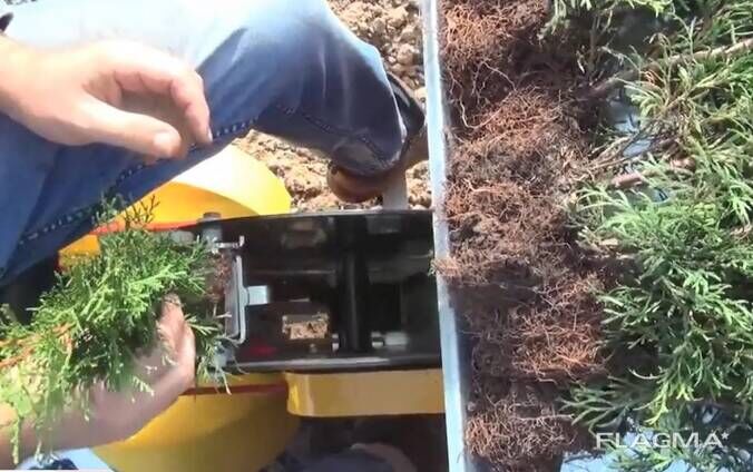 Сажалка кассетная, полуавтомат