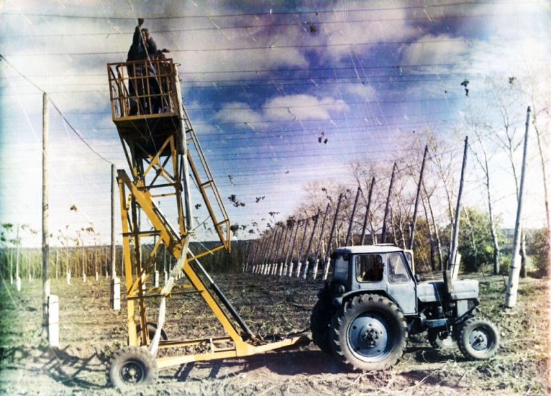 Вышка для хмельников ВХ-4