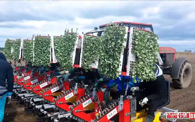 Рассадопосадочная машина Model N (до 10 рядов) из EC