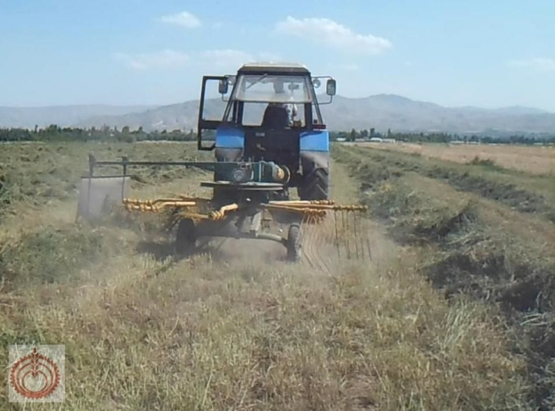 Грабли-ворошилки роторные ГВР-420